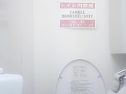 最新流出作品-某高級餐廳公共衛生間拍攝到的各種風格氣質美女如廁 貌似用了好多紙前面擦完後面擦 有潔癖啊 720P高清