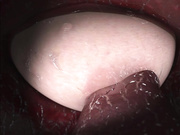 [夜桜字幕组]～little ballerina～ HINA BITCH!2EX