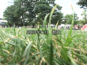 [SDMU-651]  「中にだけは絶対に出さないで…」と言っていた 元OLで精子を常に飲まされて調教されていたドM女優 イってもイ