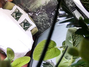 小伙提前开好房等待苗条年轻长发妹子来打炮听对白貌似是援交妹操完穿衣服就走