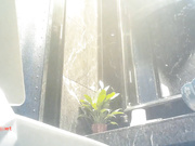 国内高级夜总会女厕偷拍来嘘嘘的小姐有几个颜值还不错