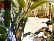 自然房在军训的大学生情侣抽空开房啪啪啪小伙子花样不少旋转式抽插干的苗条妹子嗲叫不停歇一会又干一炮