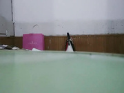 《户外找站街女》零零后小伙路边按摩店找按摩女体验姐姐会错意思说舔很脏到出租屋吃快餐_ev