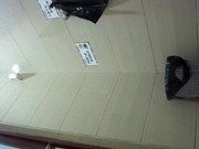 自形整理前景卫生间TP丝袜美女嘘嘘