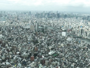 [RBD-870] 凌辱研修 女子大生調教实习 妃月るい - 1of5