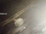 大鸡巴空白哥大冷天半夜户外调教插插丝袜酒吧小姐720P高清版