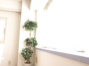 [HND-490] 私底下真的爱上了AV女优 麻里梨夏 - 3of5