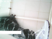 KC布艺全景系列34美女妹子很用力的拉