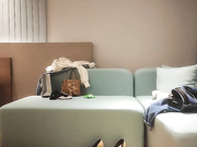 网约韵味十足小少妇自带开档黑丝袜极品美腿口活一流