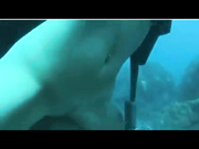 潜水爱好者水下做爱